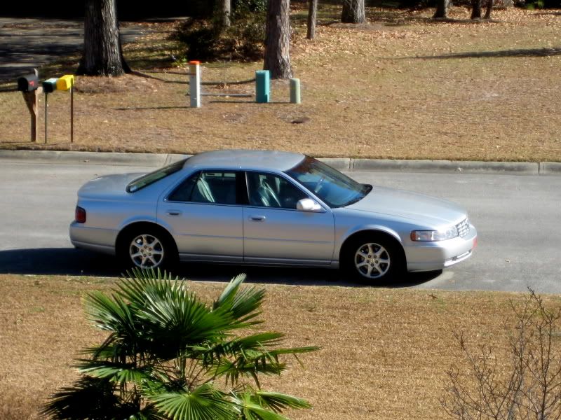 Candid pictures of our cars.